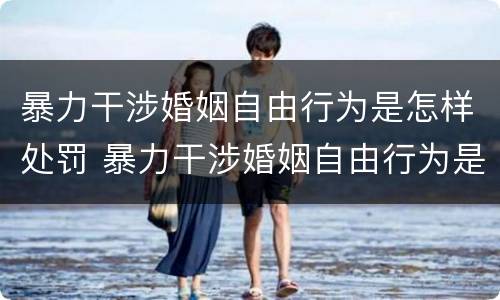 暴力干涉婚姻自由行为是怎样处罚 暴力干涉婚姻自由行为是怎样处罚的