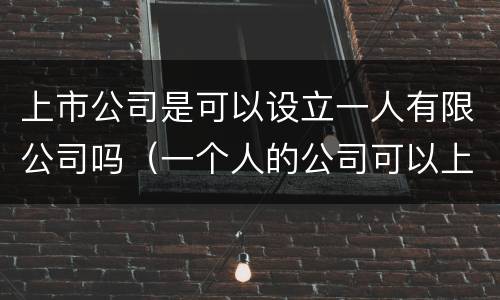 上市公司是可以设立一人有限公司吗（一个人的公司可以上市吗）