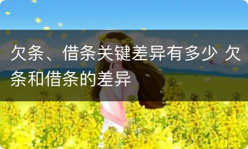 欠条、借条关键差异有多少 欠条和借条的差异