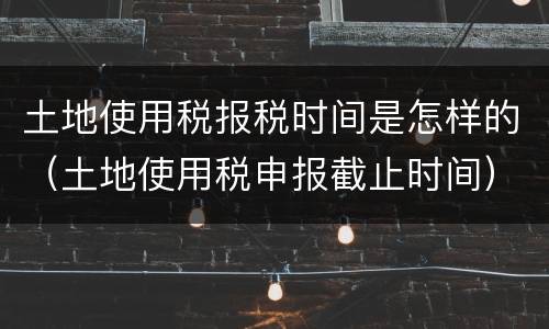 土地使用税报税时间是怎样的（土地使用税申报截止时间）