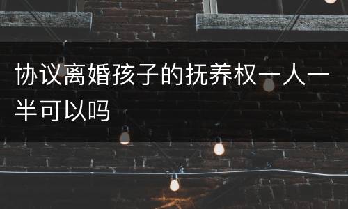协议离婚孩子的抚养权一人一半可以吗