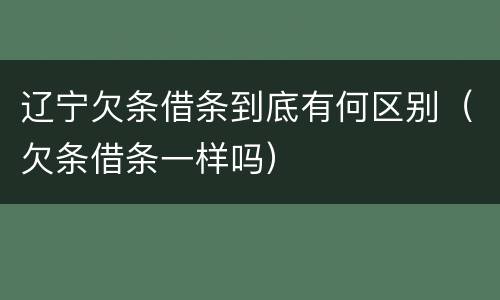辽宁欠条借条到底有何区别（欠条借条一样吗）