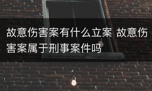 故意伤害案有什么立案 故意伤害案属于刑事案件吗