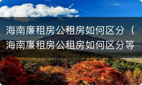 海南廉租房公租房如何区分（海南廉租房公租房如何区分等级）