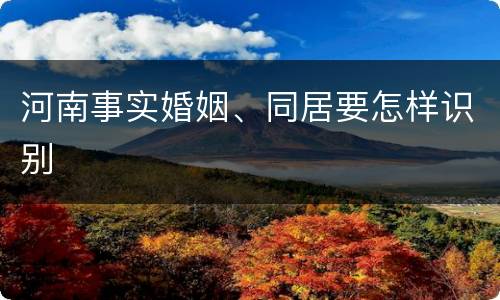 河南事实婚姻、同居要怎样识别