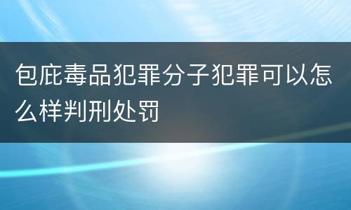 包庇毒品犯罪分子犯罪可以怎么样判刑处罚