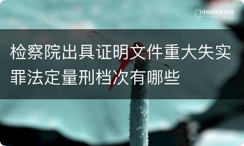 检察院出具证明文件重大失实罪法定量刑档次有哪些