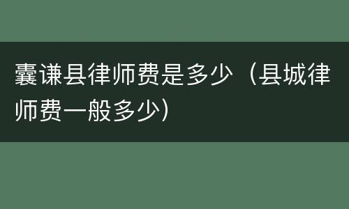 囊谦县律师费是多少（县城律师费一般多少）