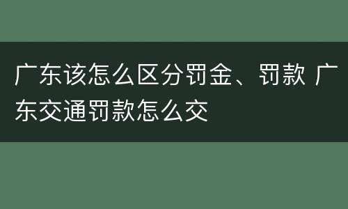 广东该怎么区分罚金、罚款 广东交通罚款怎么交