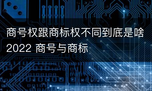 商号权跟商标权不同到底是啥2022 商号与商标