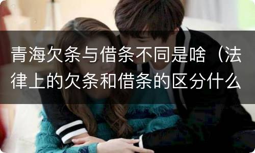 青海欠条与借条不同是啥（法律上的欠条和借条的区分什么意思）