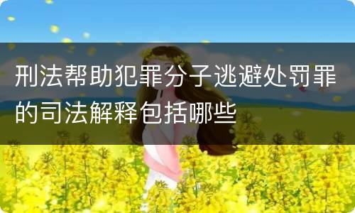 刑法帮助犯罪分子逃避处罚罪的司法解释包括哪些