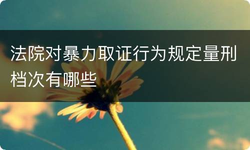 法院对暴力取证行为规定量刑档次有哪些