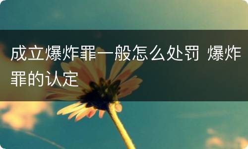 成立爆炸罪一般怎么处罚 爆炸罪的认定