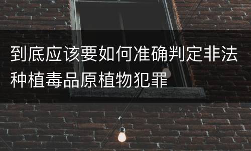 到底应该要如何准确判定非法种植毒品原植物犯罪