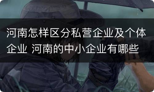 河南怎样区分私营企业及个体企业 河南的中小企业有哪些