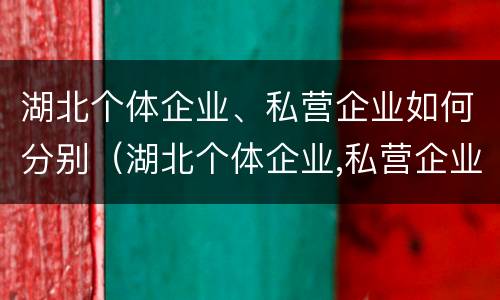 湖北个体企业、私营企业如何分别（湖北个体企业,私营企业如何分别纳税）