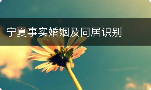 宁夏事实婚姻及同居识别