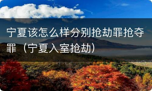 宁夏该怎么样分别抢劫罪抢夺罪（宁夏入室抢劫）