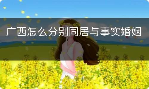 广西怎么分别同居与事实婚姻