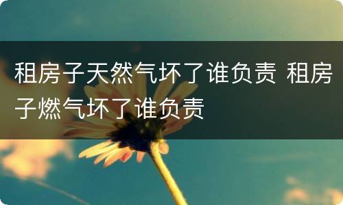 租房子天然气坏了谁负责 租房子燃气坏了谁负责