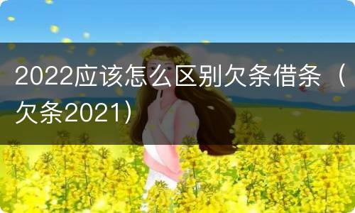2022应该怎么区别欠条借条（欠条2021）