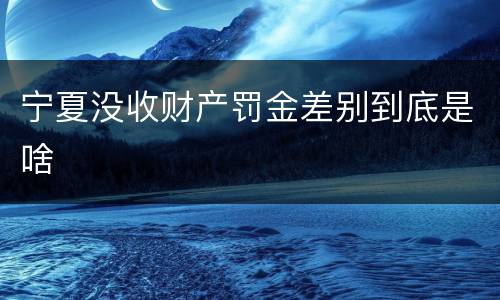 宁夏没收财产罚金差别到底是啥