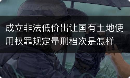 成立非法低价出让国有土地使用权罪规定量刑档次是怎样