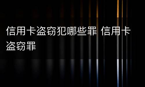 信用卡盗窃犯哪些罪 信用卡 盗窃罪