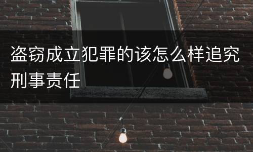 盗窃成立犯罪的该怎么样追究刑事责任