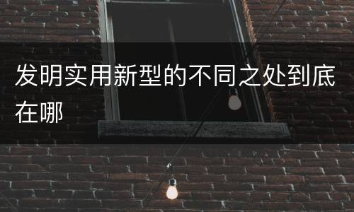 发明实用新型的不同之处到底在哪