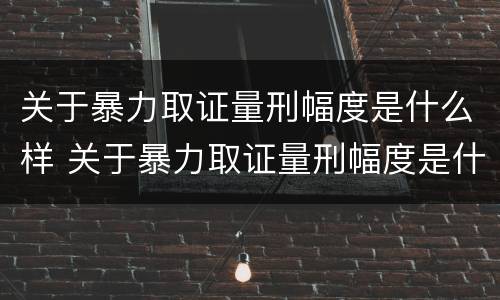关于暴力取证量刑幅度是什么样 关于暴力取证量刑幅度是什么样的标准