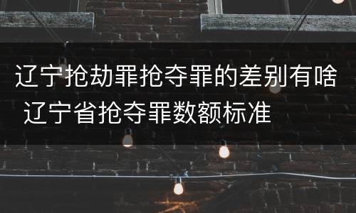 辽宁抢劫罪抢夺罪的差别有啥 辽宁省抢夺罪数额标准