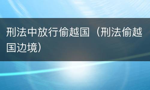 刑法中放行偷越国（刑法偷越国边境）