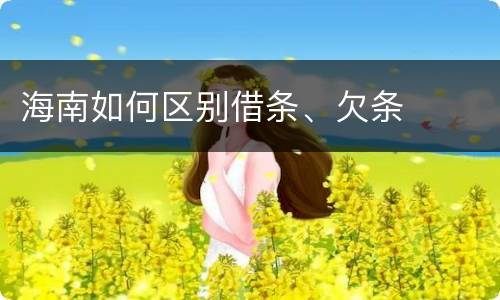 海南如何区别借条、欠条