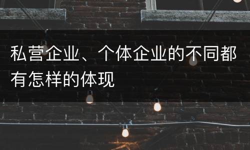 私营企业、个体企业的不同都有怎样的体现