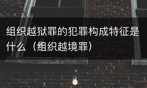 组织越狱罪的犯罪构成特征是什么（组织越境罪）