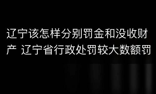 辽宁该怎样分别罚金和没收财产 辽宁省行政处罚较大数额罚款标准