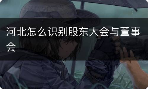 河北怎么识别股东大会与董事会