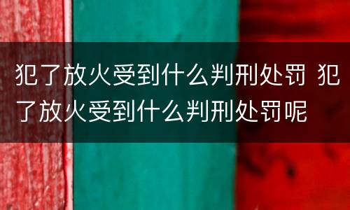 犯了放火受到什么判刑处罚 犯了放火受到什么判刑处罚呢