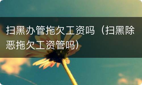 扫黑办管拖欠工资吗（扫黑除恶拖欠工资管吗）