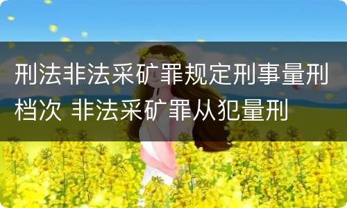 刑法非法采矿罪规定刑事量刑档次 非法采矿罪从犯量刑