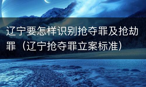辽宁要怎样识别抢夺罪及抢劫罪（辽宁抢夺罪立案标准）