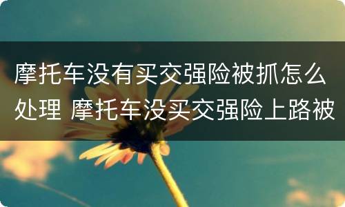 摩托车没有买交强险被抓怎么处理 摩托车没买交强险上路被交警查 怎么处罚
