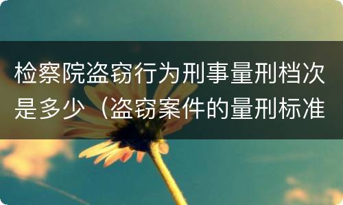 检察院盗窃行为刑事量刑档次是多少（盗窃案件的量刑标准）