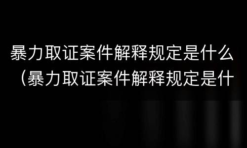 暴力取证案件解释规定是什么（暴力取证案件解释规定是什么意思）