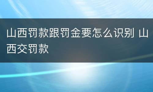 山西罚款跟罚金要怎么识别 山西交罚款
