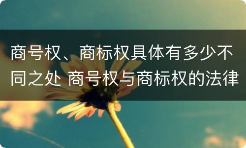 商号权、商标权具体有多少不同之处 商号权与商标权的法律冲突与解决