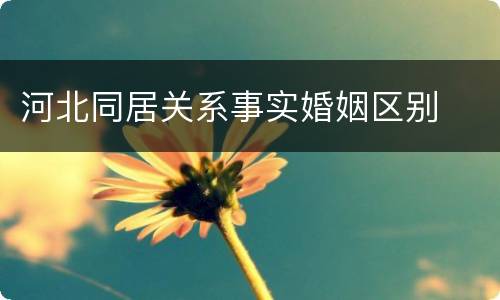 河北同居关系事实婚姻区别