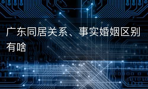 广东同居关系、事实婚姻区别有啥